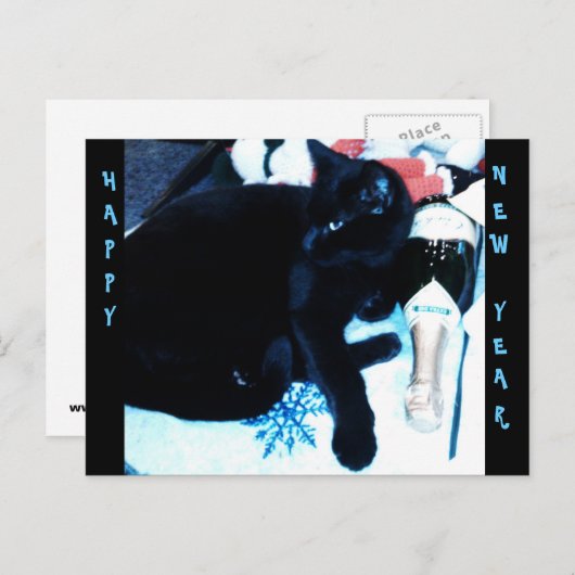 シャンペン黒猫の新年の郵便はがき シーズンポストカード (正面/裏面)