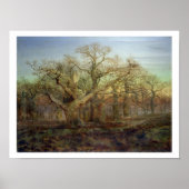 シャーウッドの森の端, 1878 ポスター (正面)