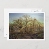 シャーウッドの森の端， 1878 ポストカード (正面/裏面)