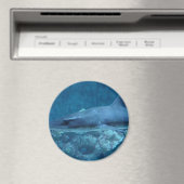 シャークが泳ぐ海フォトマグネット マグネット (インサイチュ (食洗機))