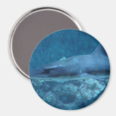 シャークが泳ぐ海フォトマグネット マグネット (正面/裏面)