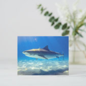 シャークスイミングブルー海水 ポストカード (スタンド正面)