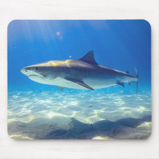 シャークスイミングブルー海水 マウスパッド (正面)