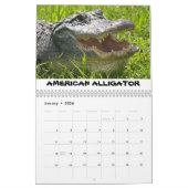 シャークバレーカレンダー カレンダー (1月 2026)