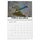 シャークバレーカレンダー カレンダー (2月 2027)