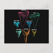 シャーク歯狩り-熱狂するシャークギフト シーズンポストカード (正面)