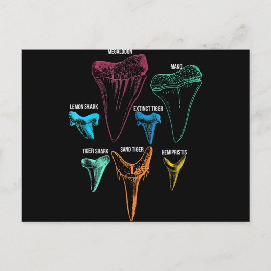 シャーク歯狩り-熱狂するシャークギフト シーズンポストカード (正面)