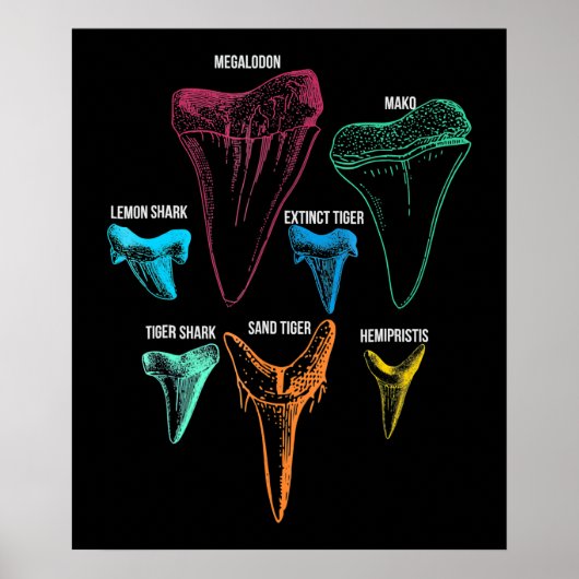 シャーク歯狩り-熱狂するシャークギフト ポスター (正面)