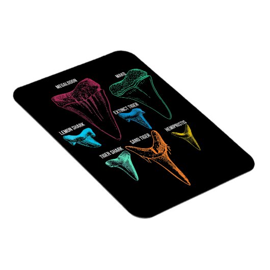 シャーク歯狩り-熱狂するシャークギフト マグネット (右側)