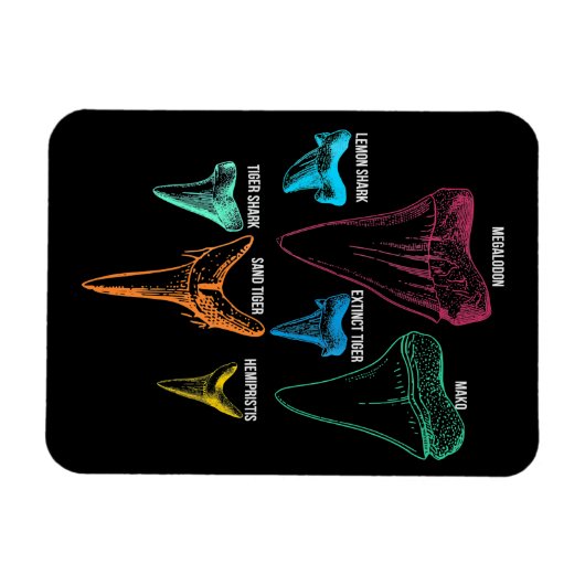 シャーク歯狩り-熱狂するシャークギフト マグネット (横)