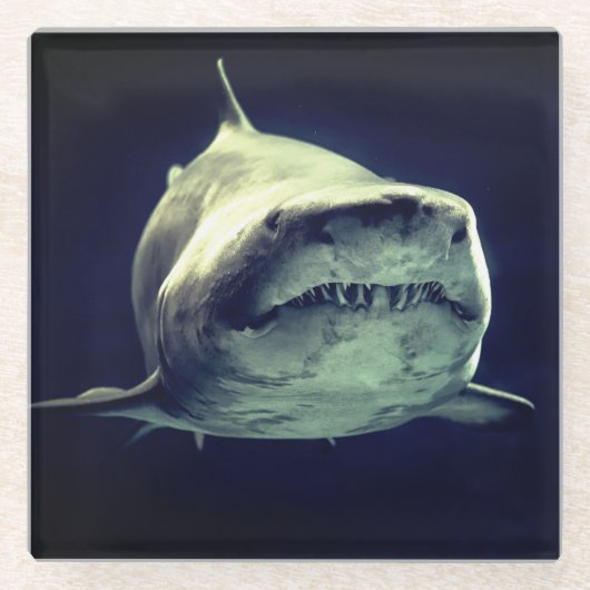 シャーク ガラスコースター (正面)