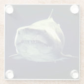 シャーク ガラスコースター (裏面)