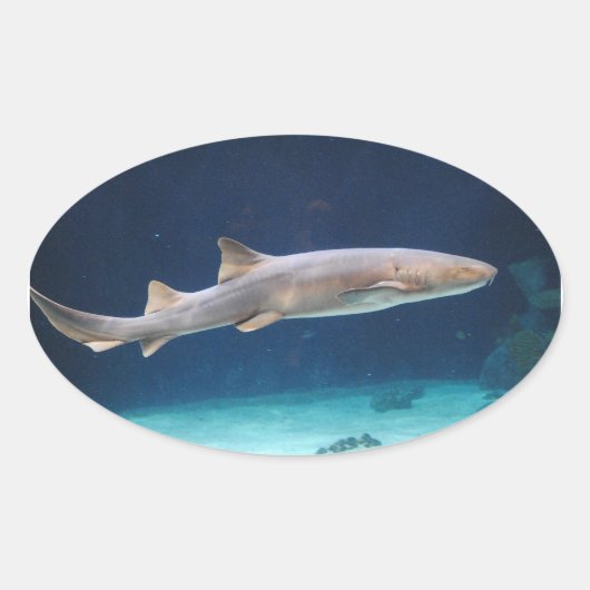 シャーク・ステッカー 楕円形シール (正面)