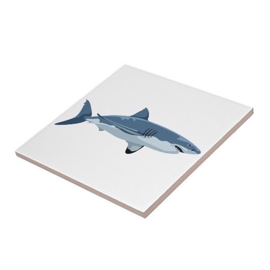 シャーク タイル (側面)