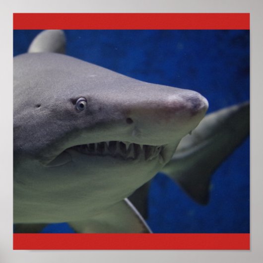 シャーク・フィッシュ泳ぐ男ギャルのパーソナライズ運命の ポスター (正面)