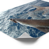 シャーク ポスター (角)