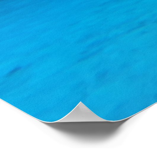 シャーク ポスター (角)