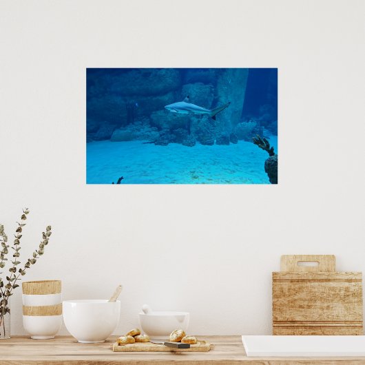 シャーク ポスター (キッチン)