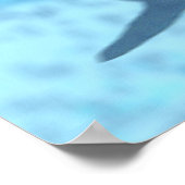 シャーク ポスター (角)