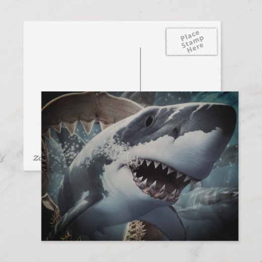 シャーク ポストカード (正面/裏面)