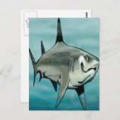 シャーク ポストカード (正面/裏面)