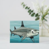 シャーク ポストカード (スタンド正面)