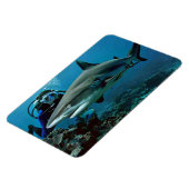 シャーク マグネット (左側)