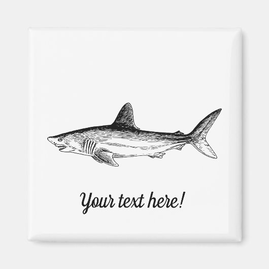 シャーク マグネット (正面)