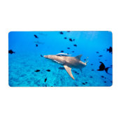 シャーク ラベル (正面)