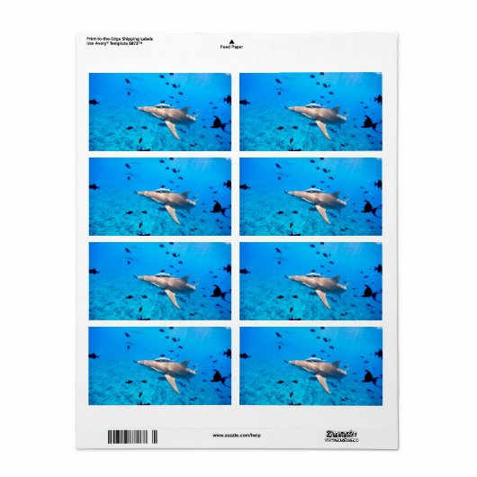 シャーク ラベル (フルシート)