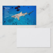 シャーク 名刺 (正面/裏面)