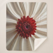 シャーパブランケットとジャパナースカラーズデザイン シェルパブランケット (正面)