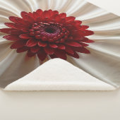 シャーパブランケットとジャパナースカラーズデザイン シェルパブランケット (3/4)