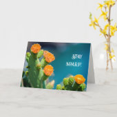 シャープな感覚を保とう - 鮮やかなサボテンの花の写真の誕生日 カード (黄色い花)