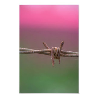 シャープな色 フォトプリント