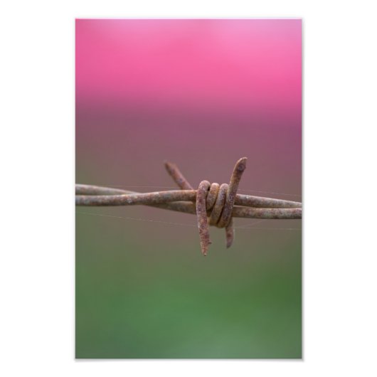 シャープな色 フォトプリント            (正面)