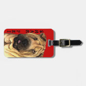 シャーペイカラーブロック ラゲッジタグ (正面横)