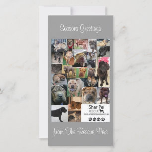 シャーペイレスキュークリスマスカード シーズンカード