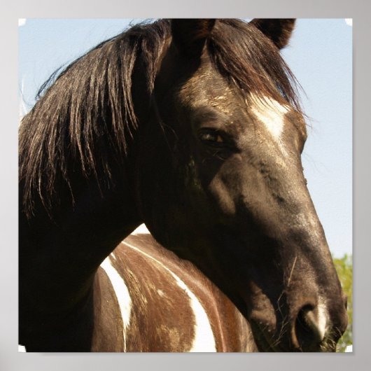シャーホース荷車を引くポスタープリント ポスター (正面)