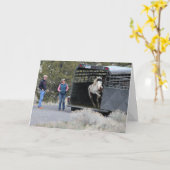 シャーマンがフリーダム5x7グリーティングカードにジャンプ カード (黄色い花)