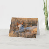 シャーマンの小さな伝説のグリーティングカード カード (正面)