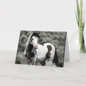 シャーマンの折り畳みグリーティングカード カード (正面)