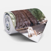 シャーマンの木のタイ ネクタイ (ロール)