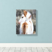 シャーマンズリトルフィリーキャンバスプリント画像 キャンバスプリント (インサイチュ (ウッドフロア))