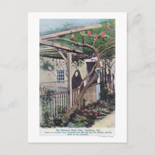 シャーマンバラツリーモントレーCA ポストカード (正面)