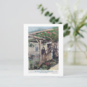 シャーマンバラツリーモントレーCA ポストカード (スタンド正面)