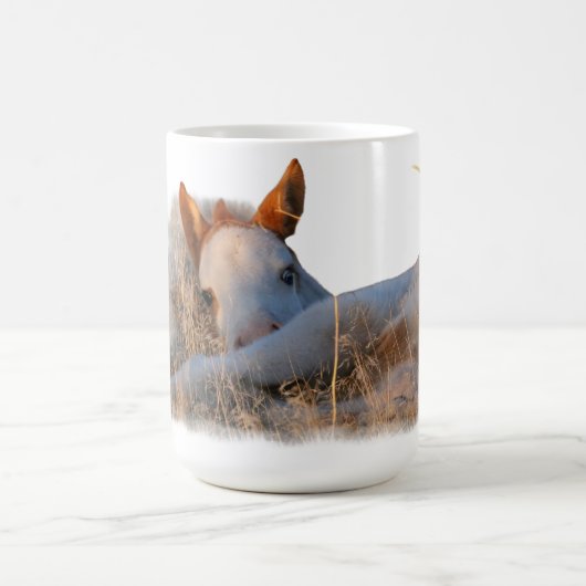 シャーマンフィリーセラミックマグ  コーヒーマグカップ (中央)