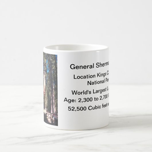 シャーマン大将のセコイアオスギの木 コーヒーマグカップ (中央)