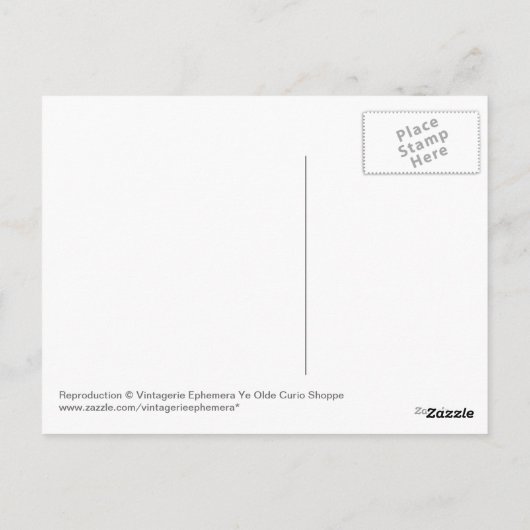 「シャーマン将軍」5000歳、ビッグツリーズパーク ポストカード (裏面)