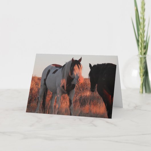 シャーマン折り畳み5x7ノートカード ノートカード (正面)